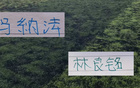 申花的马纳法 北京国安的林良铭 海港安佩姆 今年谁会续约？