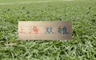 联赛还剩下4轮！能争就剩下第二名跟第14名