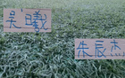 间歇期里面！申花出场最长是吴曦+朱辰杰， 高天意出场时间还没留守外援多